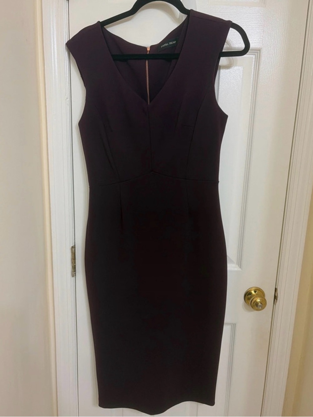 Ivanka Trump Plum Sleeveless Sheath Dress